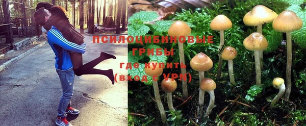 винт Абдулино
