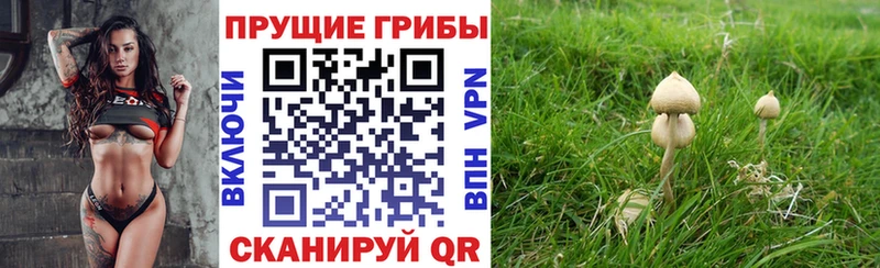 Галлюциногенные грибы прущие грибы  Красноперекопск 